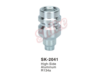 SK-2041